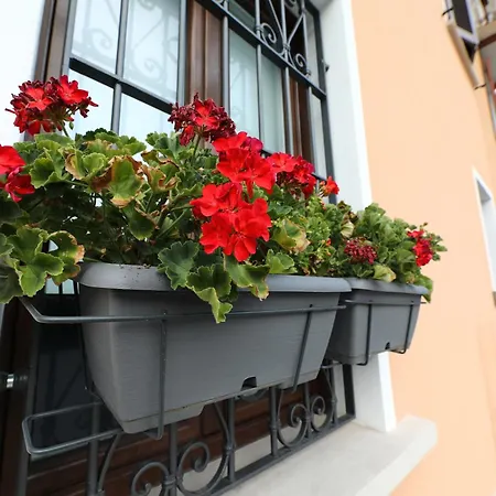Apartment La Ca' Del Pola