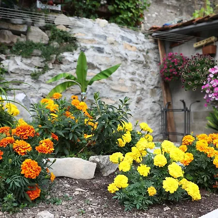 La Ca' Del Pola Apartment *